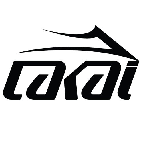 Lakai Shoes