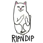 ripndip-logo-web-brands