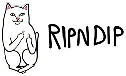 Ropa de la marca Ripndip