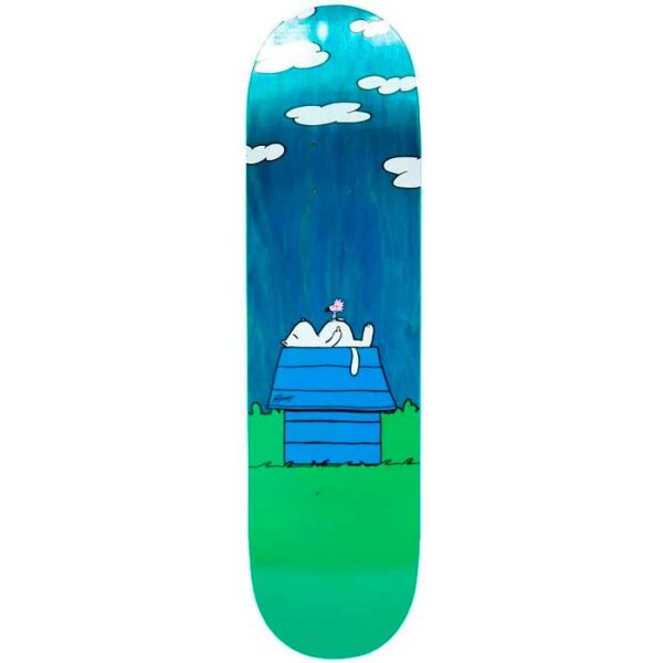 Tabla RIPNDIP Not Today 8.25"