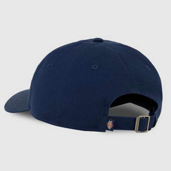 Gorra DICKIES Essential Dad Navy - Imagen 2