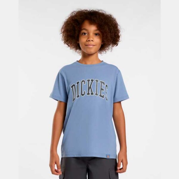 Camiseta DICKIES Aitkin Blue Junior
