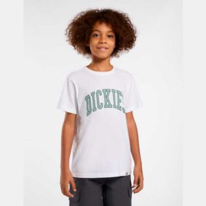 Camiseta DICKIES Aitkin White Junior