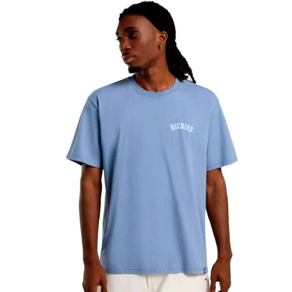 Camiseta DICKIES Circle Blue - Imagen 2