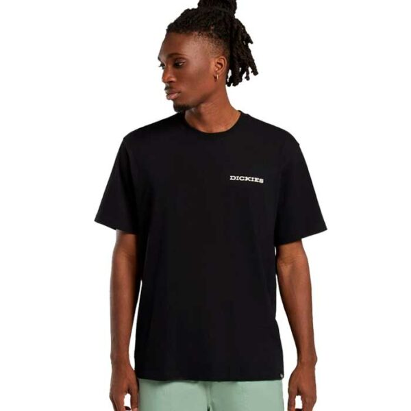 Camiseta DICKIES Landascape Black - Imagen 2