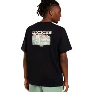 Camiseta DICKIES Landascape Black