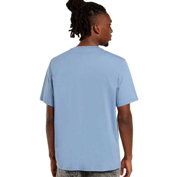Camiseta DICKIES Mapleton Light Blue - Imagen 2