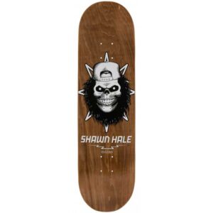 Tabla BIRDHOUSE Hale Skull 8.5"