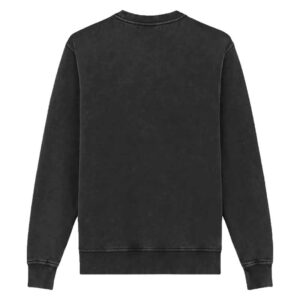 Alternative view of Sudadera DICKIES Plentywood Crewneck Wash Black